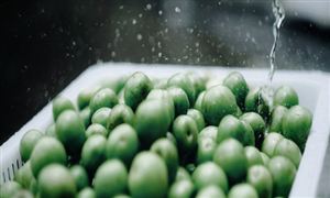 青梅酒发展浅析 青梅酒市场运行现状及发展趋势分析