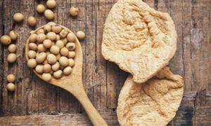 2022大豆蛋白行业竞争格局与大豆蛋白行业发展现状分析