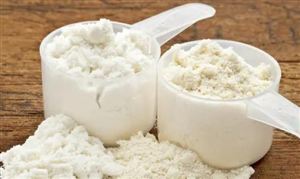 高钙蛋白粉行业投资风险研究 高钙蛋白质粉行业市场规模及未来发展趋势