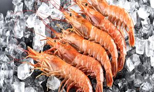 海鲜行业洞察 2022海鲜市场全景调研分析报告