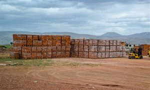 2022陶瓷砖行业竞争格局 瓷砖行业市场规模分析报告