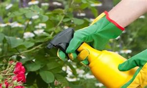 生物杀虫剂优势及行业发展前景分析