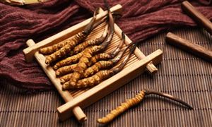 行业调研  2022冬虫夏草行业市场发展现状分析及未来前景展望