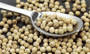 胡椒种植面积 白胡椒行业发展现状如何