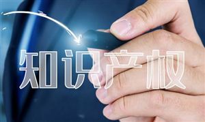 中国2021年专利数全球最高 知识产权代理市场调研