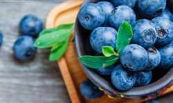 蓝莓行业种植栽培现状 蓝莓行业市场发展需求分析