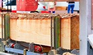 木工机械行业前景怎么样? 木工机械市场发展现状调查2022