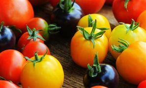 未来番茄红素行业市场行情如何? 番茄红素行业市场调研2022