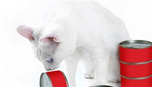 宠物罐头行业市场未来发展趋势如何? 宠物罐头产业深度调研