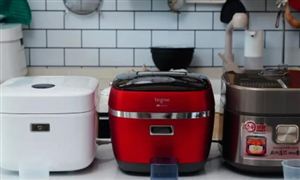 厨房电器市场发展潜力 厨房电器行业市场调研及投资分析