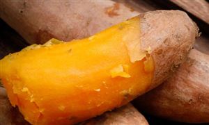 红薯深加工行业发展前景如何?红薯深加工行业分析