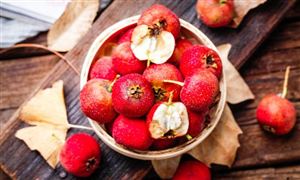 中国山楂行业整体运行指标分析及行业现状调研