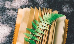 中国数字文化创意产业发展趋势 数字文化创意产业发展潜力分析