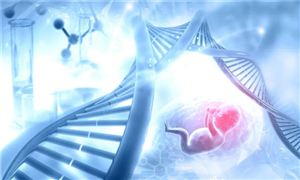 “试管婴儿”费用能报销了 辅助生殖行情前景被看好 辅助生殖行业市场规模