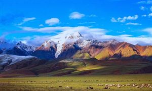 文化旅游产业的发展现状和趋势分析