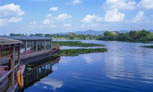 中国绿色生态行业市场深度调研分析