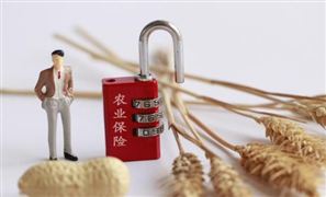 农业保险市场深度分析 农业保险投资前景及保费规模