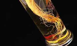 行业分析 保健酒行业现状及市场前景分析