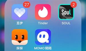 社交软件行业市场调研 社交软件未来发展趋势及机遇分析