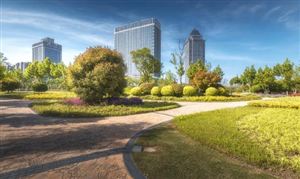 中国城市公园规划建设行业市场前瞻 城市公园规划建设行业数量分析