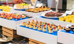 自助餐产业深度调研及行业市场发展现状分析研究报告