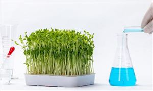 生物菌肥行业市场深度分析及生物菌肥市场规模预测2023