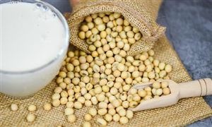 植物蛋白饮料行业市场调研 植物蛋白饮料行业发展趋势分析