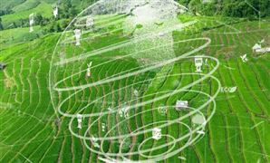 什么是绿色食品？政策助力绿色食品产业 绿色食品电子商务行业发展前景分析2023