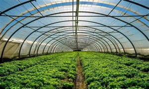 设施农业行业发展现状及行业未来发展方向2023