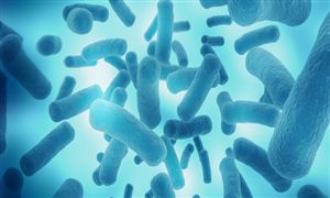 2022微生物发酵行业供需趋势及市场空间分析报告