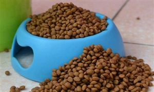 水产饲料发展分析 水产饲料行业市场现状及品牌格局分析