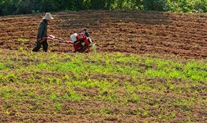 中国小型农机具行业发展现状分析 小型农机具行业市场规模预测