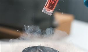 中国干细胞行业市场运行态势 干细胞产业发展战略研究