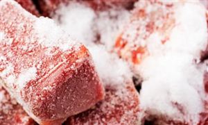 2023冷冻牛肉行业发展趋势及投资潜力分析