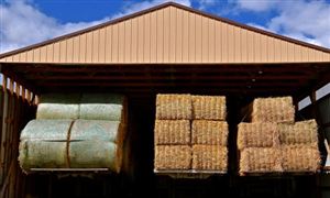 牧草饲料行业深度分析与未来市场供需情况预测