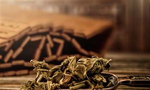 张伯礼:中医药是抗疫的第二道屏障 国内中医药人才发展规划分析