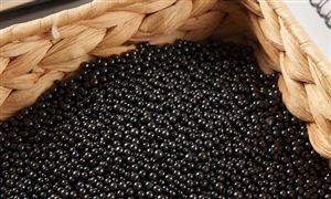 环保活性炭行业市场容量 环保活性炭行业发展规划研究