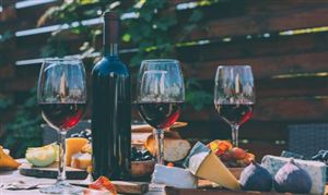 红葡萄酒行业市场供需现状分析 红葡萄酒行业分析2022