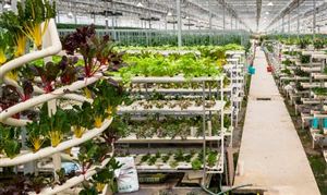 现代农业行业市场发展现状 2023中国现代农业行业市场发展规划研究