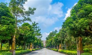 中国陵园墓地产业链发展现状 陵园墓地行业市场发展空间分析