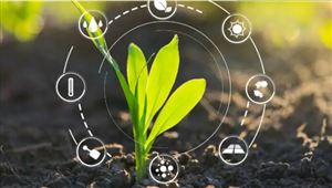 江西农业农村数字经济白皮书​ 数字农业是未来农业的发展方向