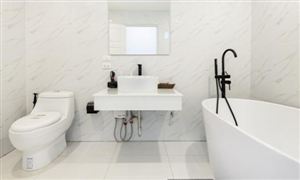 行业调研分析  智能马桶行业市场发展现状及未来趋势分析