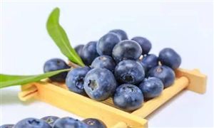 2022行业研究分析 水果种植行业需求分析