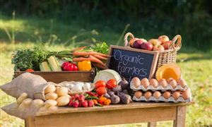 农产品流通行业流通模式 农产品流通行业投资策略