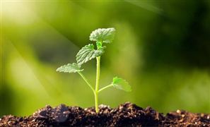 北京土壤污染防治条例明年执行 多地条例制定中 土壤修复行业深度调研