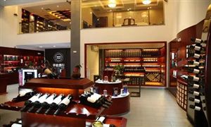 中国酒类品类创新研究 酒类零售行业未来发展方向