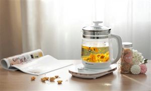 养生壶行业发展如何? 养生壶行业市场现状及前景展望