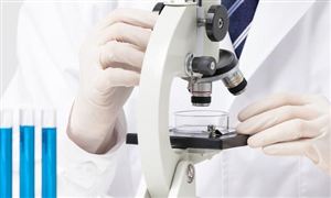 医养结合市场有多大 2023医养结合行业分析报告