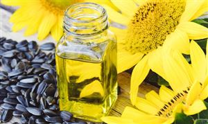 葵花籽油行业市场深度分析报告 葵花籽油行业现状及前景分析2022