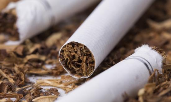 2023烟草加工机械市场投资前景分析及行业供需分析